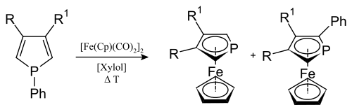 Metallocenes with phosphole