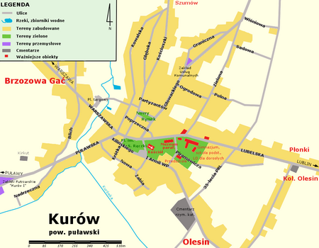 Plan Kurowa 2010.png