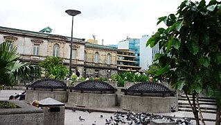 Plantas de café en la plaza, lucernarios y cara norte del Teatro.