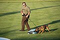 North America Police Working Dog Associaion public demonstration