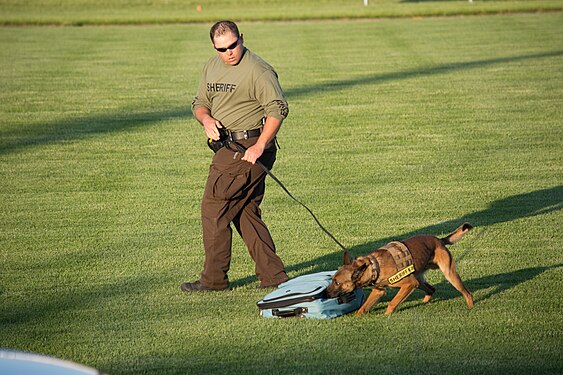 North America Police Working Dog Associaion public demonstration, sniffer detection