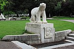 orso bianco