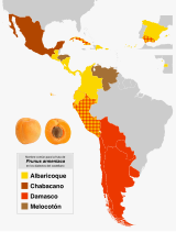 Common name for the fruit of Prunus armeniaca in the dialects of Spanish