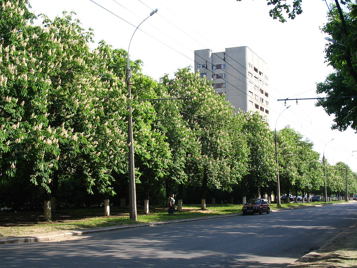 Проспект Петра Григоренко (Харьков) — Википедия