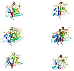Protein FGF1 PDB 1afc.png