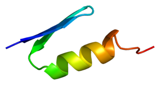 <span class="mw-page-title-main">ZFX</span> Protein-coding gene in the species Homo sapiens