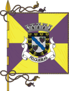 Flagge von Felgueiras