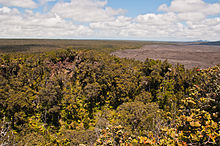 Vue de l'intérieur du cratère du Puʻu Huluhulu en direction de l'est avec le Puʻu ʻŌʻō dans le lointain sur la droite.