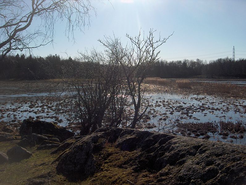 File:Pumphusängen in Ågestasjön in spring 2008-1.jpg