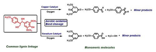 Lignocellulose disassembly to break down common lignin linkage into monomeric molecules by transition metal-based catalysts. R.Tom Baker's research figure 1.jpg