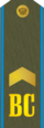 RFAF - Senior Sergeant - Hver dag green.png