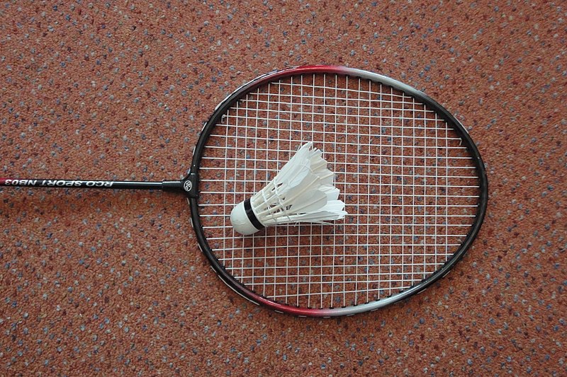 File:Rachetă de badminton şi fluturaş.jpg