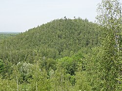 Image illustrative de l’article Forêt de Raismes-Saint-Amand-Wallers