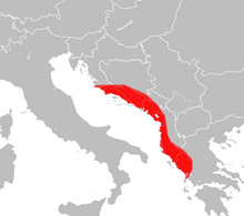 Range of Armadillidium klugii.png