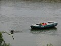 Rescue dog pulling a boat at WCH Romania 2009.jpg