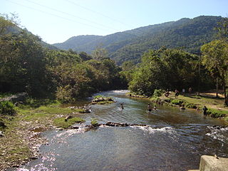 Alto Ribeira Tourist State Park protected area in the state of São Paulo, Brazil