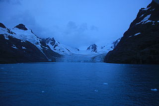 <span class="mw-page-title-main">Risting Glacier</span> Glacier in South Georgia