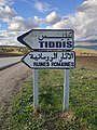 * Nomination Road signe to Tiddis, Béni Hamidane, Constantine province, Algeria --Reda Kerbouche 10:12, 20 December 2022 (UTC) * Promotion  Support Good quality. Verticals are not vertical in the background, but this is not important here. --Cayambe 09:23, 25 December 2022 (UTC)