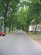 Ortrander street