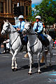 Police Horses at the 2008, Norwood Christmas Pageant, Adelaide South Australia