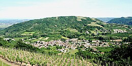 Saint-Désirat - Vue