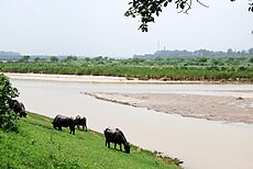 Banks of River Sutlej, Ropar, Punjab