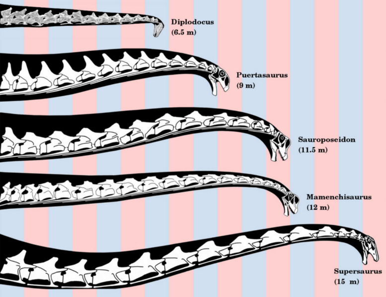 File:Sauropod neck reconstructions.png