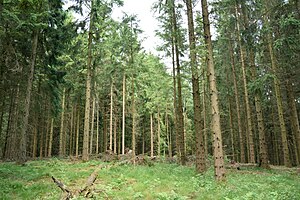 Schleswig-Holstein, Sarlhusen, Landschaftsschutzgebiet Glasberg NIK 7097.JPG