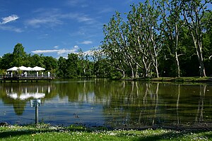 The Schlossgartensee of Stuttgart