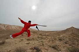 Shaolin quan In Iran Qom city Mostafa Meraji 11.jpg