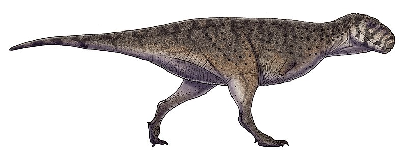 File:Skorpiovenator bustingorryi.jpg