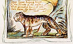 Songs of Innocence and of Experience copy Y object 42 The Tyger-Detail.jpg