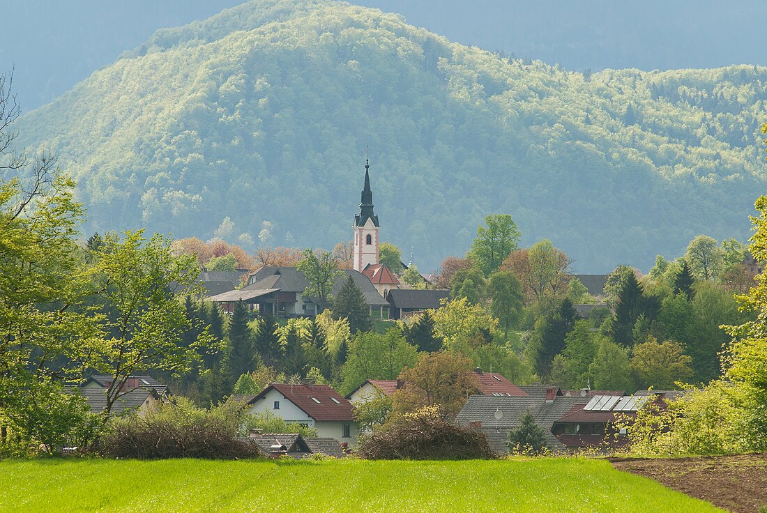 Spodnja Besnica