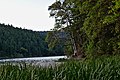 * Nomination: Tall grass and sunset at Squaw Lakes, OR --Trougnouf 03:25, 10 July 2018 (UTC) * * Review needed