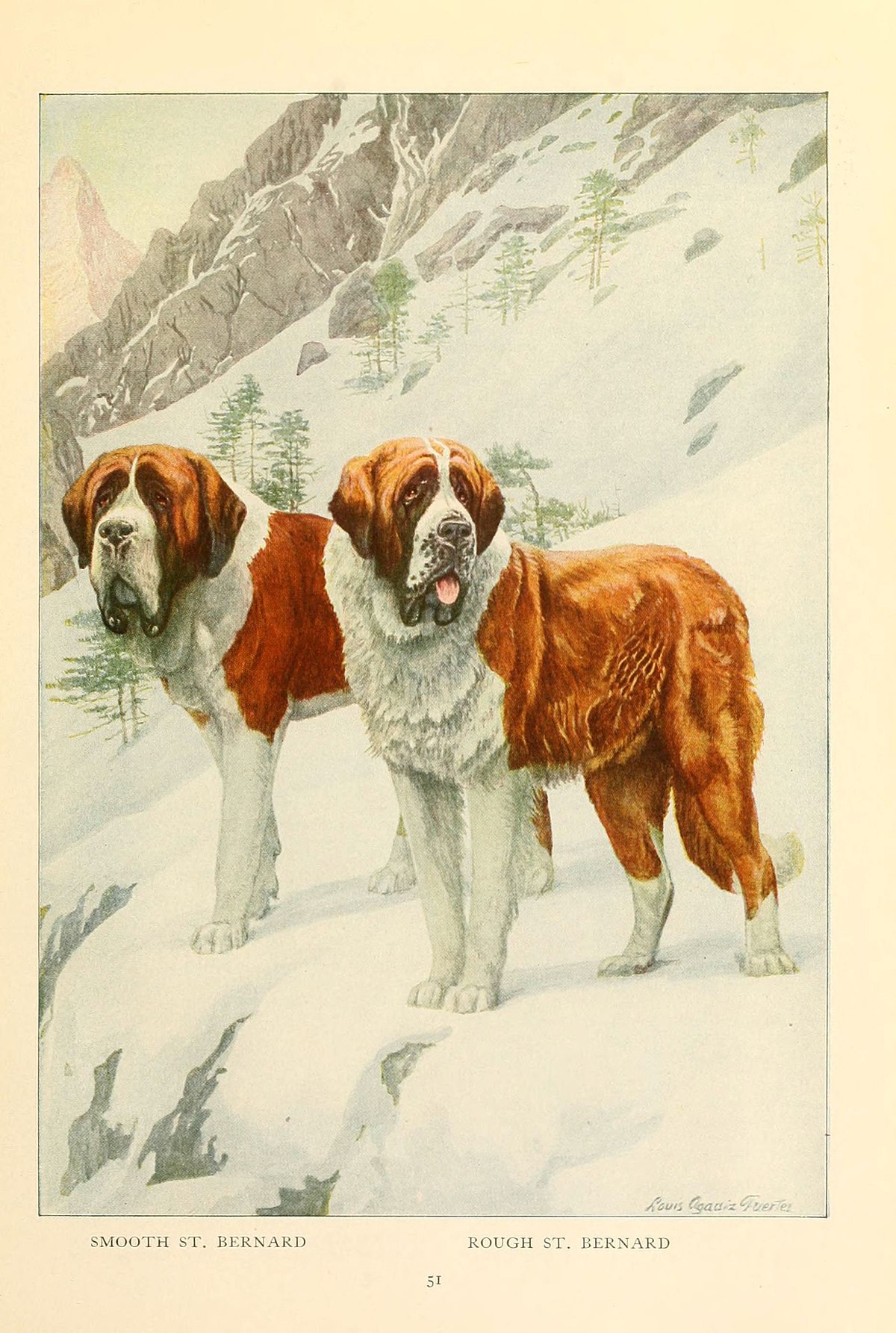 File:Saint Bernard vitraux.gif - Wikimedia Commons