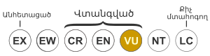 Մայրի Լիբանանական: Նկարագրություն, Տաքսոնոմիա, Տարածվածություն