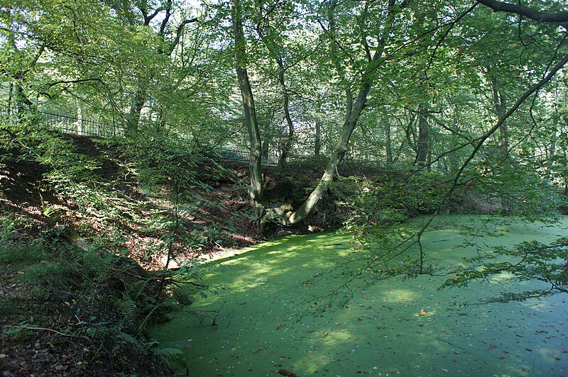 File:Steinbruch im Duisburger Stadtwald-001.JPG