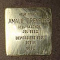 image=File:Stolperstein_Radilostraße_29_Amalie_Dreifuss.jpg