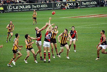 The bitter Hawthorn-Essendon rivalry started in the 1980s, when the two clubs met in three successive grand finals (2007)
