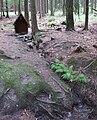 Čeština: Pramen v přírodním parku Třemšín nedaleko Hutí pod Třemšínem, okres Příbram - ČR English: Stream in Nature park Třemšín, Příbram District in Czech Republic