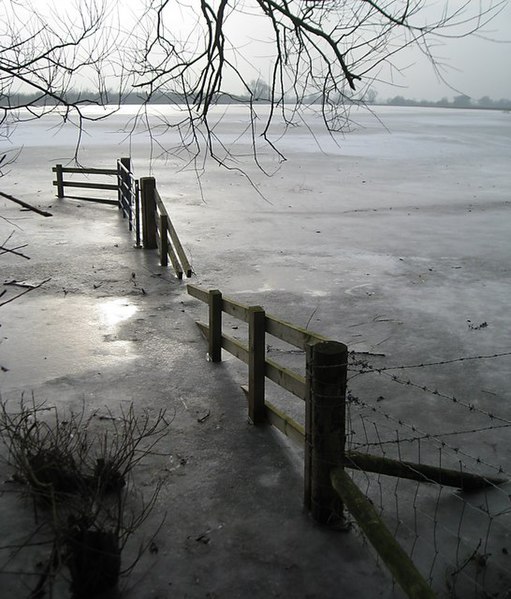 File:Submerged fence at Bury Fen - geograph.org.uk - 1670013.jpg