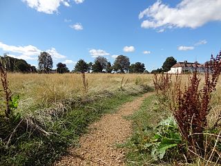 <span class="mw-page-title-main">Sutton Common</span>