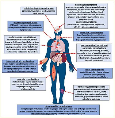 Systemic manifestation of COVID-19 infection