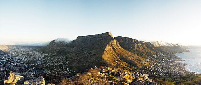 Peninsula Sandstone Fynbos is restricted to Table Mountain and the Cape Peninsula.