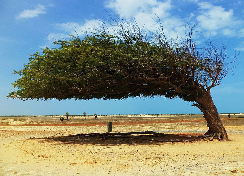 Turismo no Piauí