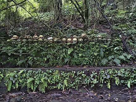 Skulls on altar