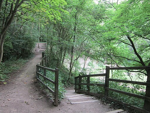 The Cliff Trail in the Humber Bridge Country Park - geograph.org.uk - 3616273