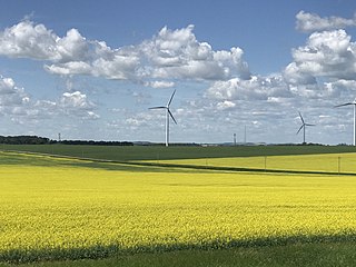 <span class="mw-page-title-main">Rural Municipality of Lorne</span> Rural municipality in Manitoba, Canada