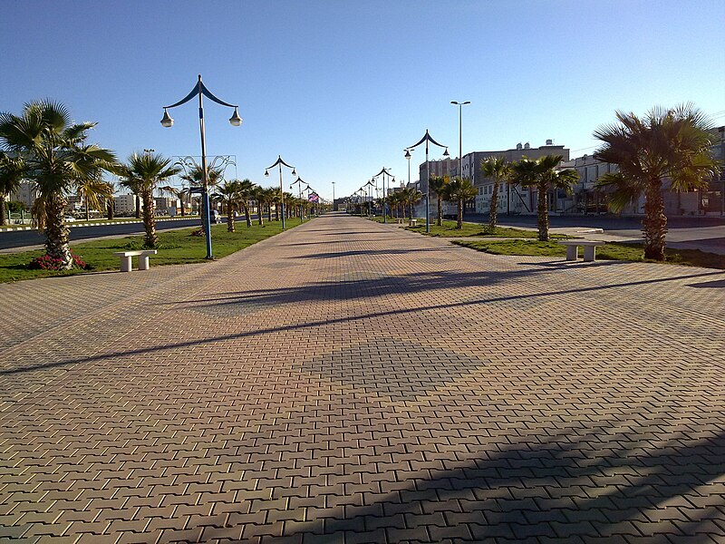 ملف:The field of walking and jogging.jpg