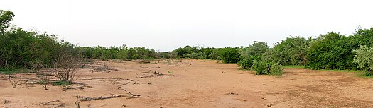 Panoramic view taken from the middle of a bare band in a tiger bush plateau near Batama-Beri, Niger. Altitude decrease from left to right (slope is about one percent). Tiger bush niger.jpg